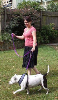 Dog Leash 6ft Long, Traffic Padded Two Handle, Heavy Duty - 6FT / Deep Purple - image 3