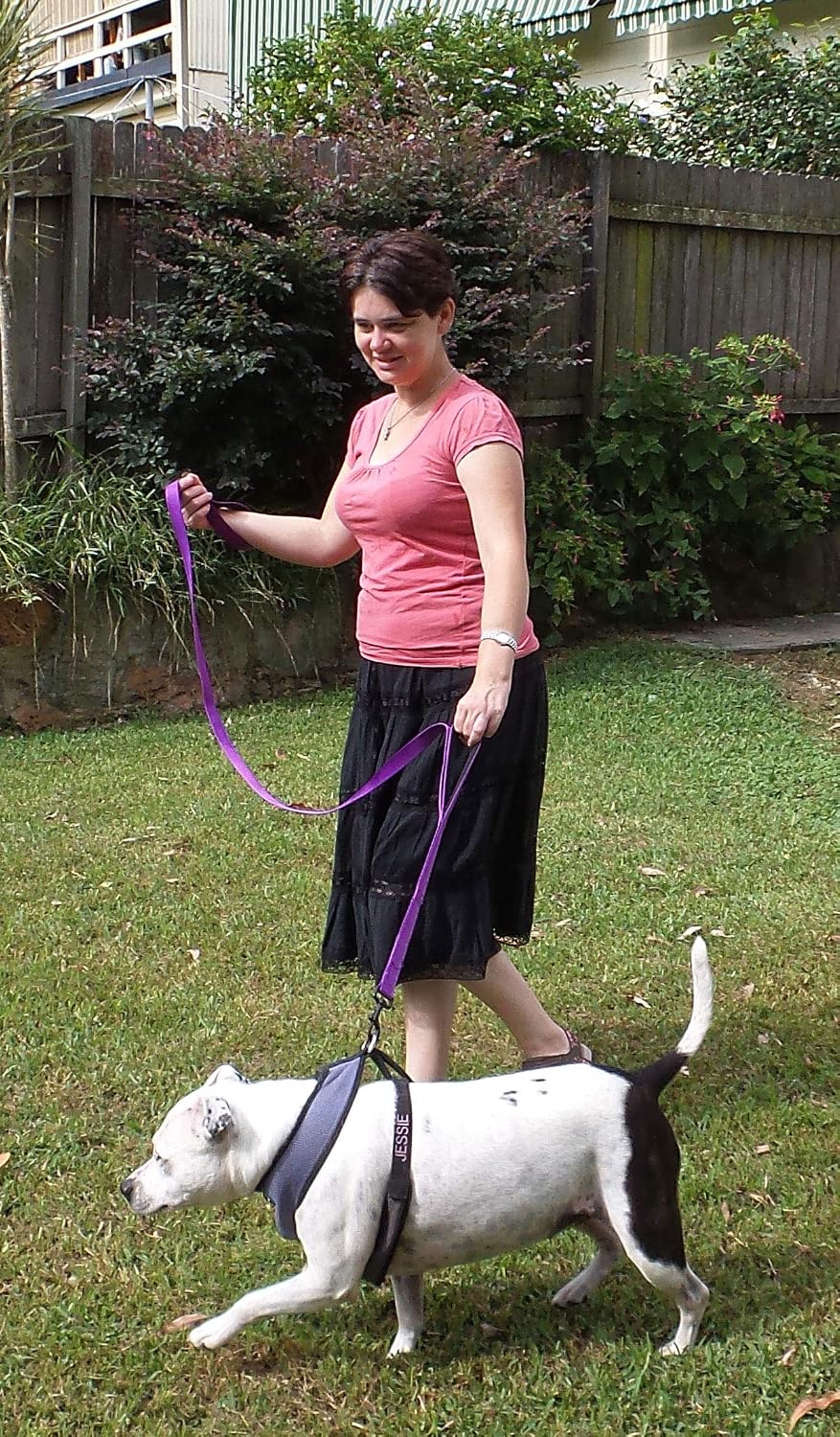 Dog Leash 6ft Long, Traffic Padded Two Handle, Heavy Duty - 6FT / Deep Purple - image 3