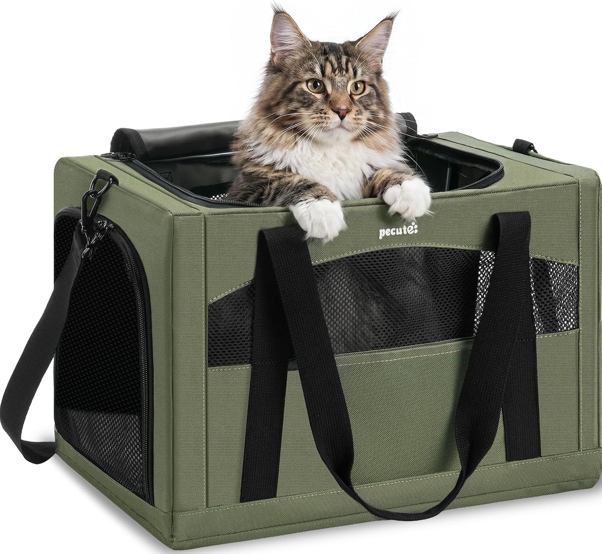 Pecute Cat Carrier Stable, Pet Carrier with Privacy Partition - Green / 19.6"L x 14.9"W x 13.7"H