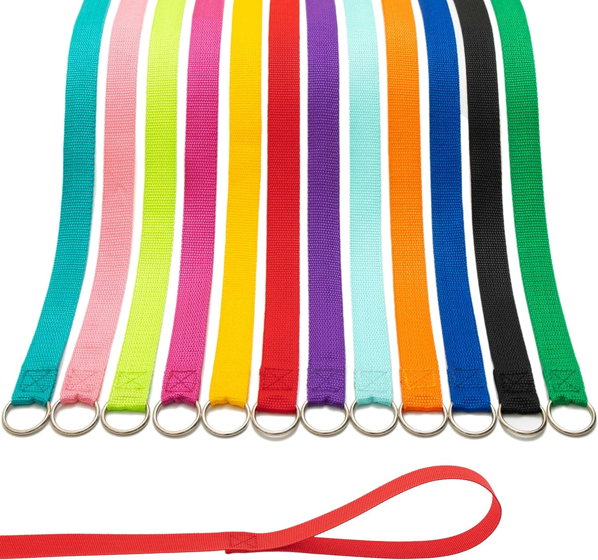 Slip Lead Dog Leash, etc. - 12 different colored leashes / 6ft