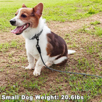 WYuZe 5ft Puppy Leash for Small Dogs Cats - Black Gray / 5 FT (3~18 lbs) - image 3