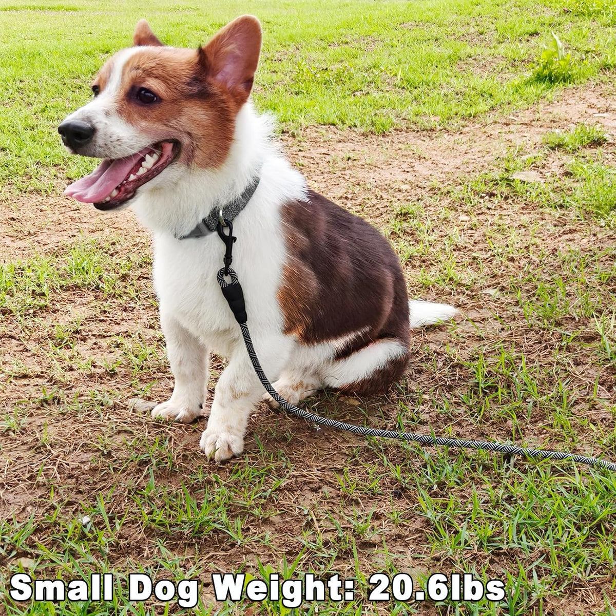 WYuZe 5ft Puppy Leash for Small Dogs Cats - Black Gray / 5 FT (3~18 lbs) - image 3