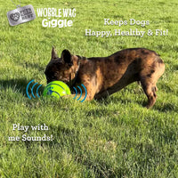 Wobble Wag Giggle Ball, Interactive Dog Toy - Original - image 4
