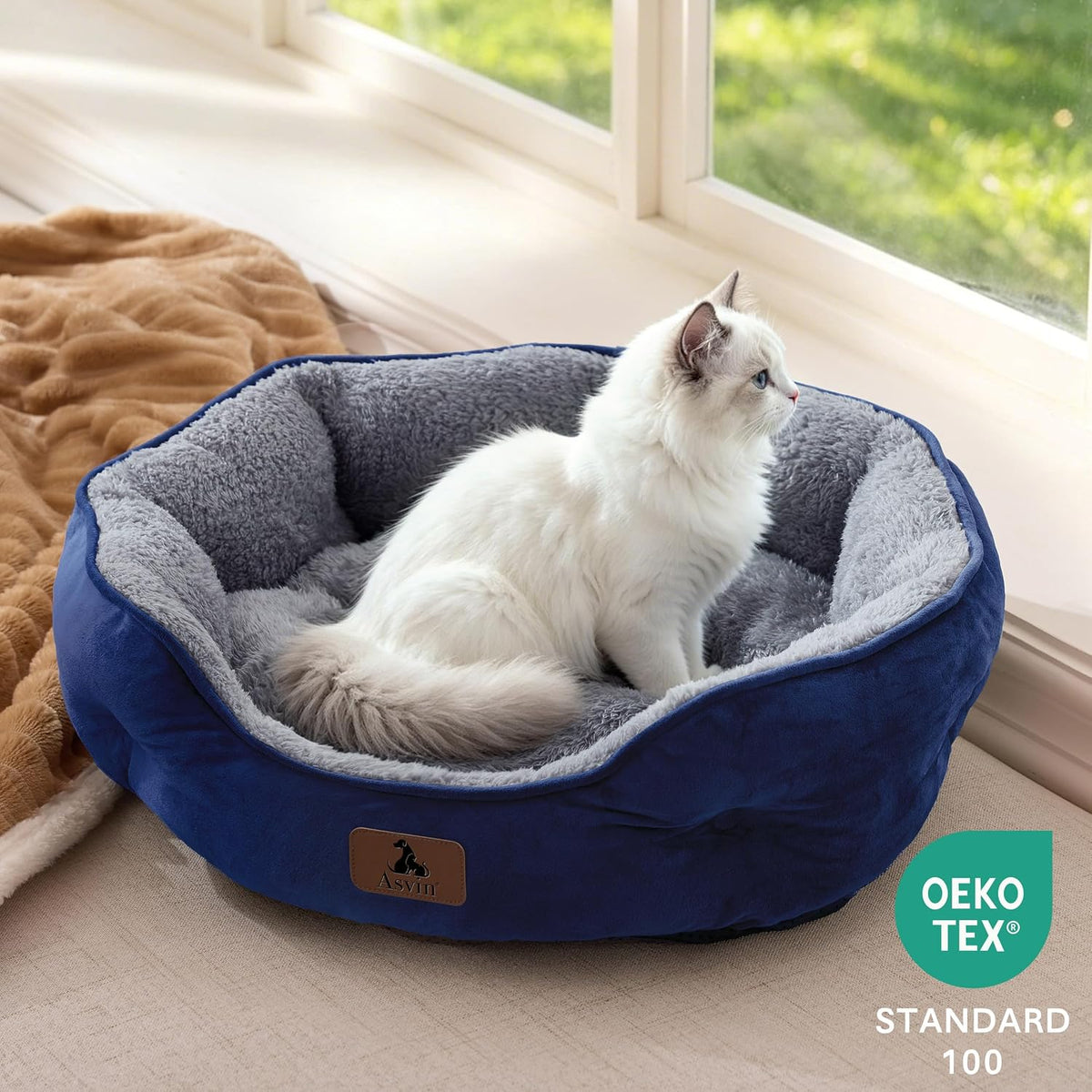 Small Dog Bed for Small Dogs, Cat Beds for Indoor Cats - Small (Pack of 1) / Blue - image 4