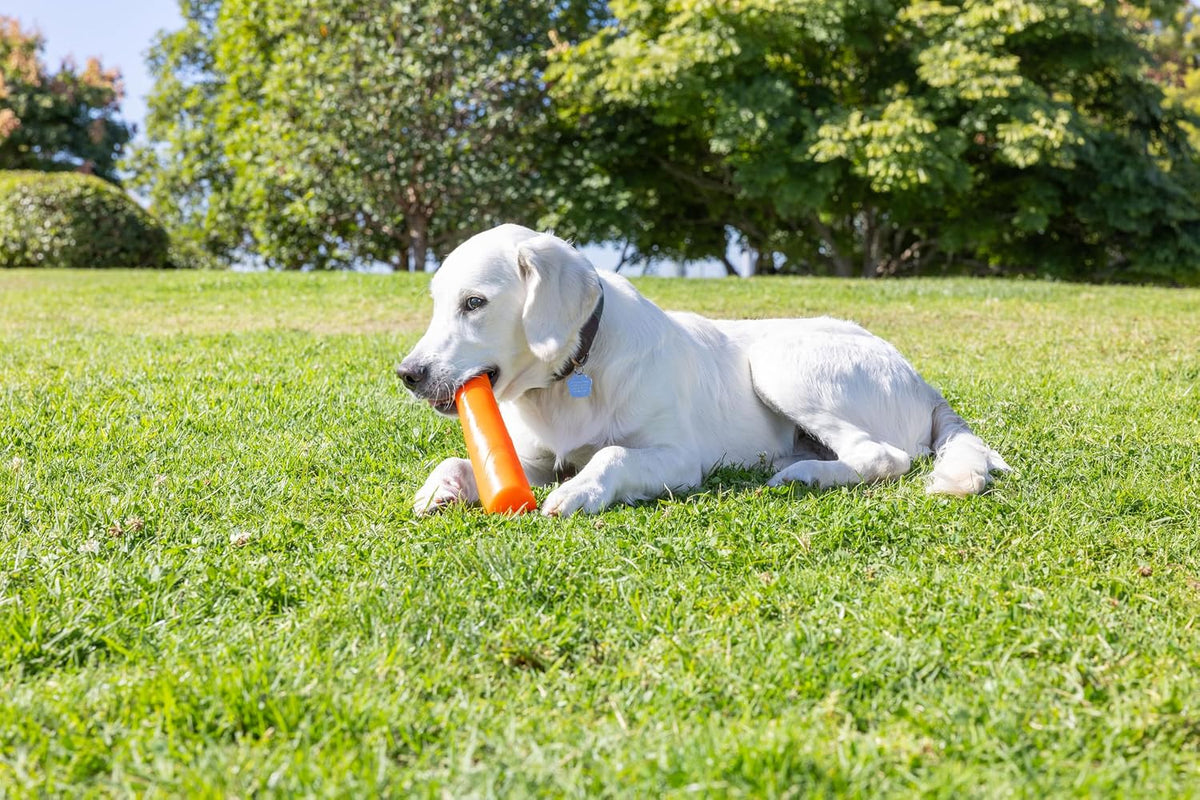 Chuckit! Limited Edition EcoFetch Ball Dog Toy, Medium Pack of 3 - Super Crunch Stick - image 4