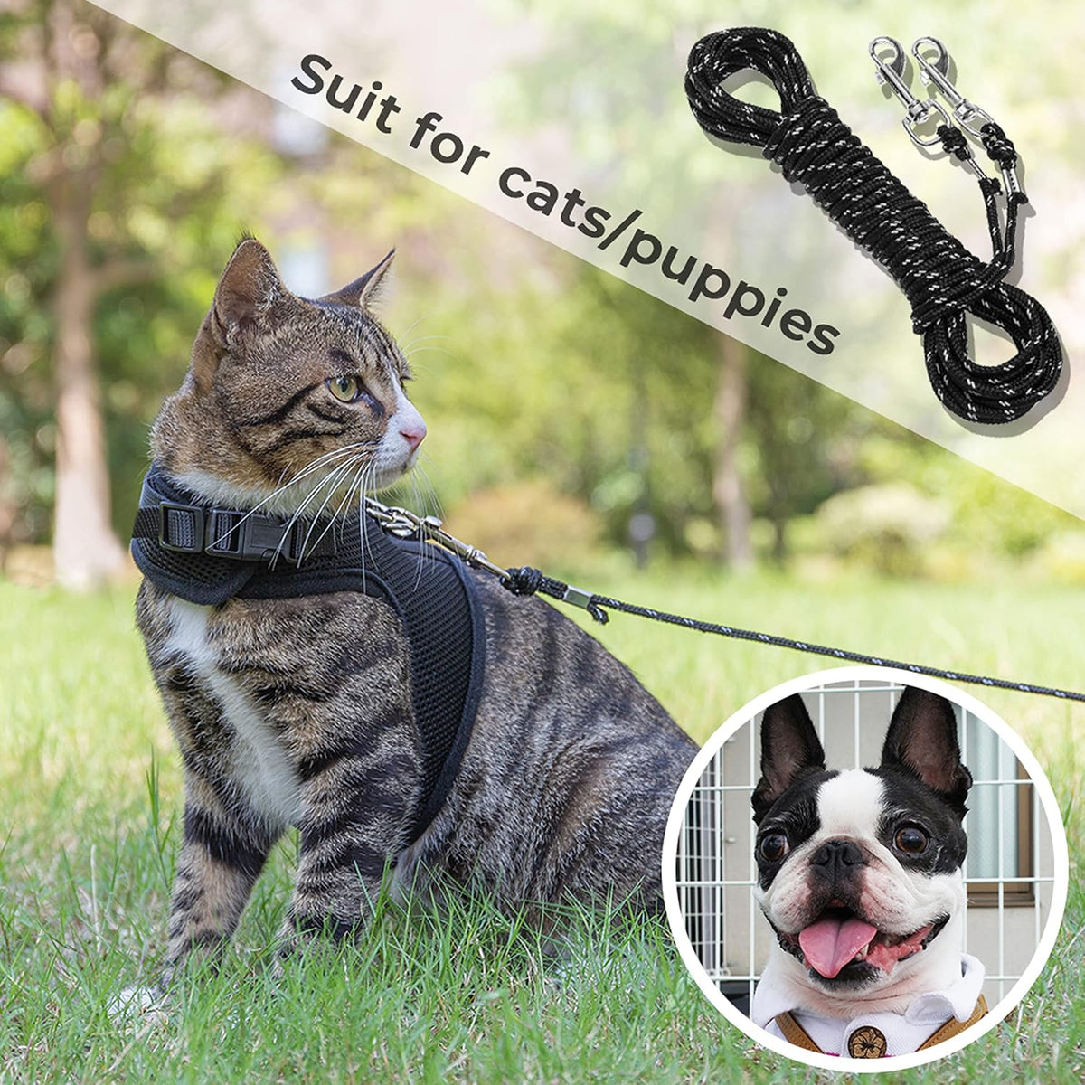 Long Cat Leash Reflective Pet Rope for Yard Walking Training Outdoor - black / 30 ft - image 4