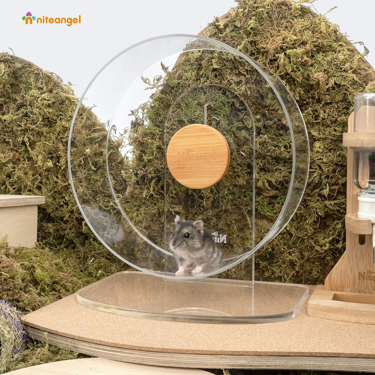 Niteangel Silent Hamster Exercise Wheel - Small - Standard Version - image 2