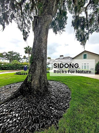SIDONG 10 lbs Black River Rocks, 1.5-2.5 Inches Polished Pebbles for Indoor Plants, Aquarium Rocks Used in Fish Tank, Decorative Stones for Plants, Vases, Home Décor, Crafting, Garden Landscaping