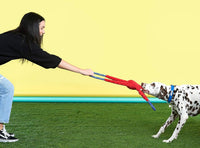 ZippyPaws RopeTugz Durable Dog Pull Rope Toy, Blue Monkey - Blue / 28 x 5 x 5 in - image 4