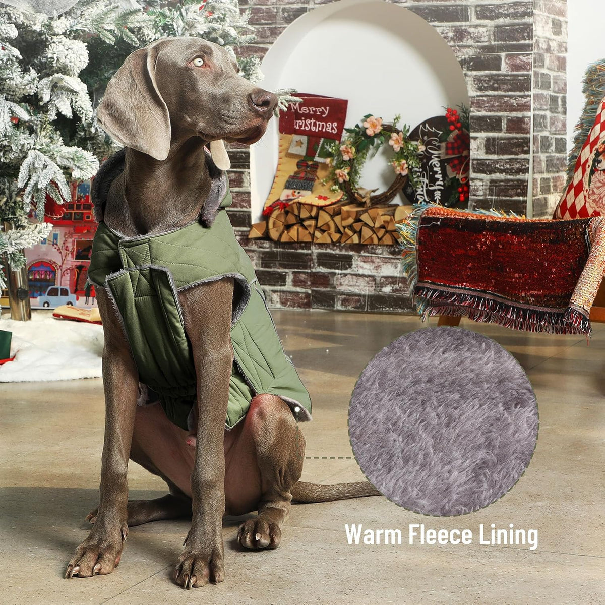 Warm Fleece Dog Hoodie for Small Dogs, Winter Puppy Coats - Green / Medium - image 3