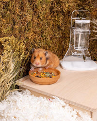 Niteangel Golden Hamster Food & Treats - Small Animal Natural Food for Syrian Golden Hamsters or Other Small-Sized Pets