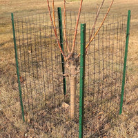 Black PVC Coated Welded Wire Fence 24 Inch x 50 Foot, 2 Inch x 3 Inch 16GA, Garden Border Fencing Roll Vinyl Coating Metal Wire Mesh for Yard Vegetable Plant Protection Poultry Netting