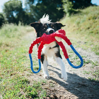 ZippyPaws RopeTugz Durable Dog Pull Rope Toy, Blue Monkey - Red / 28 x 5 x 5 in - image 3