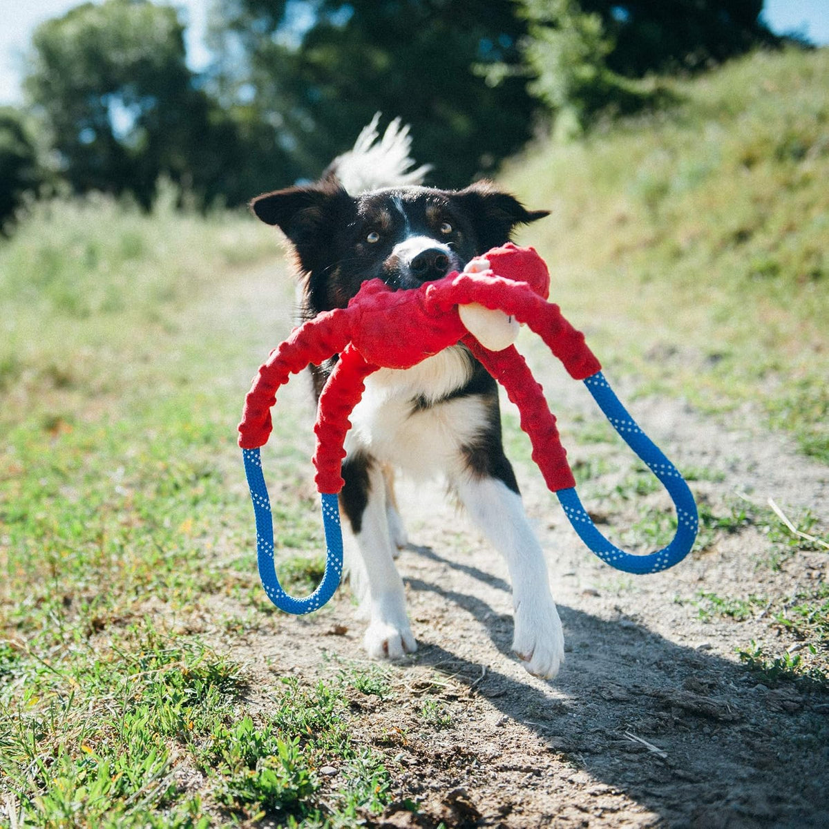 ZippyPaws RopeTugz Durable Dog Pull Rope Toy, Blue Monkey - Red / 28 x 5 x 5 in - image 3