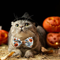 2 Pack Halloween Cat Collars with Bells, Breakaway - Jack-O-Lantern/Skeleton Dance - image 4