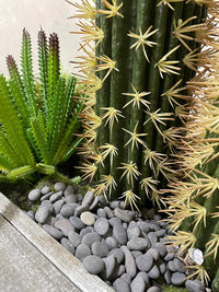 CJGQ Decorative River Rocks Pebbles for Succulents - 3lb / Black-Medium - image 2