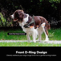Didog No Pull Dog Harness for Large Dogs, Breathable Mesh Padded - Black-2 / M: Chest 21-27", Fit 28-50 lbs - image 4