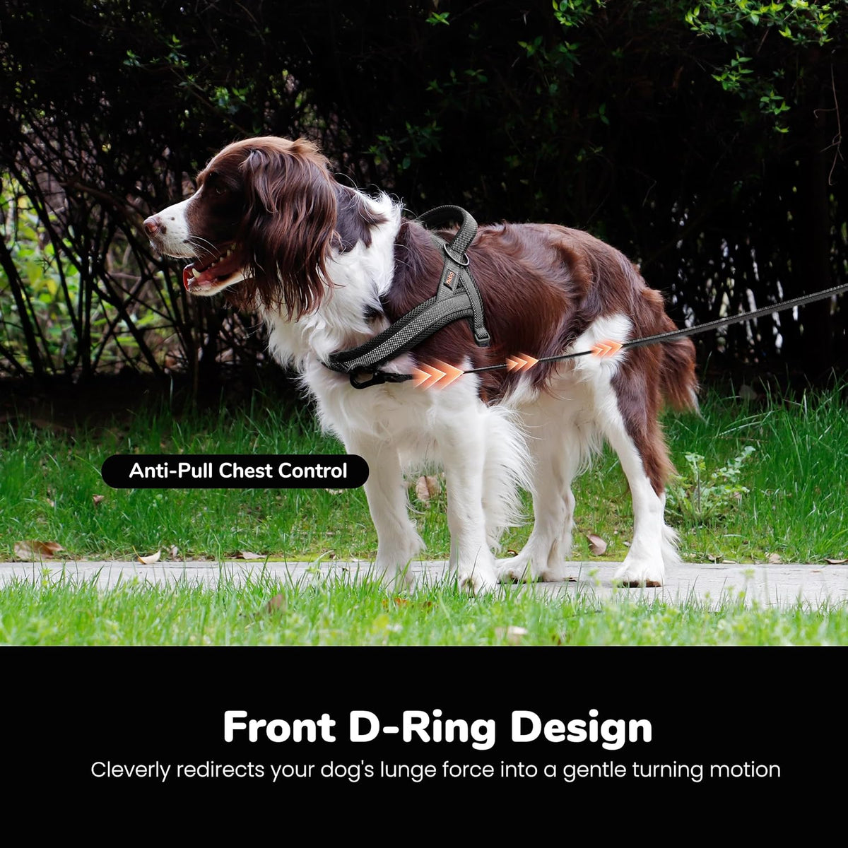 Didog No Pull Dog Harness for Large Dogs, Breathable Mesh Padded - Black-2 / M: Chest 21-27", Fit 28-50 lbs - image 4