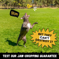 Tug Rings, Indestructible Dog Toy for Aggressive Chewers - image 4