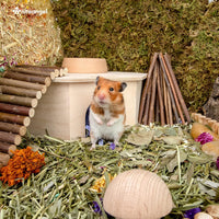 Niteangel Birch Chamber-Maze Hamster Hideout - 1 Chamber Hideout-Large - image 3