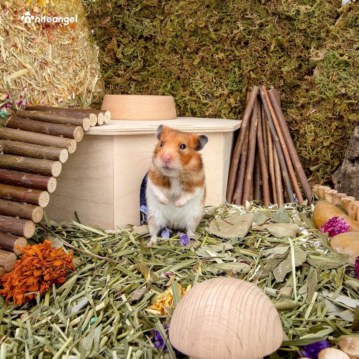 Niteangel Birch Chamber-Maze Hamster Hideout - 1 Chamber Hideout-Large - image 3