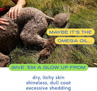 Native Pet Omega Oil for Dogs & Pumpkin for Dogs | Dog Fish Oil Supplements | All-Natural, Organic Pumpkin Fiber for Dogs | 8 Oz. Omega Oil & Pumpkin Powder