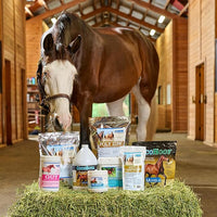 Uckele by SmartEquine EquiBase Grass Pellets | Horse Vitamins & Minerals Supplement | Forage Balancer | Horses in Light to Moderate Work | 15 lb Bucket