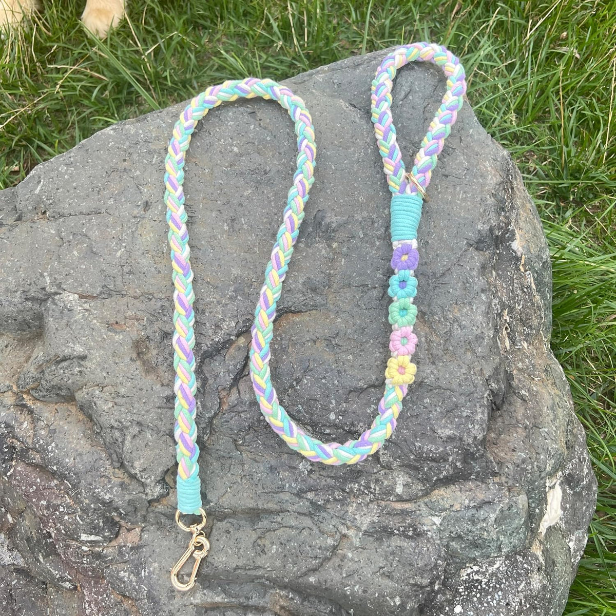 5FT Braided Cotton Rope Leash for Small, Medium and Large Dogs - Rainbow Color - image 4