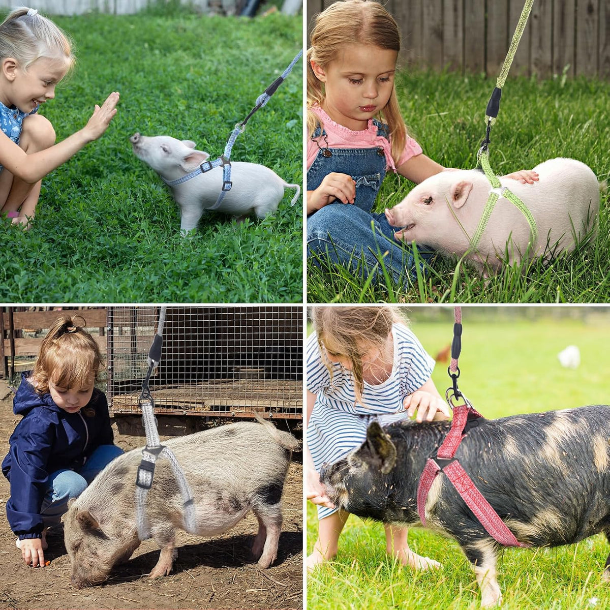 YeeBeny Mini Pig Harness Adjustable with Leash Foam Handle Pink - Green / XL - image 4