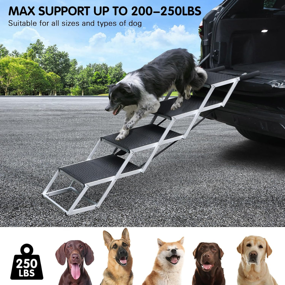 Folding Dog Stairs for Car, 16.9" Wide 4-Step Non-Slip Pet Steps – Essentials for Dogs - Black / 16.9In-4 Steps - image 3