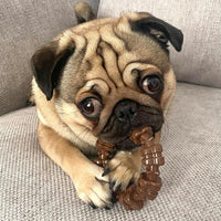Nylabone Power Chew Customer Favorites Dog Chew Toys - Small / Textured Ring - image 2