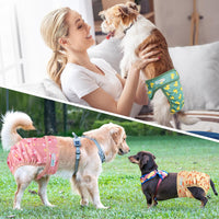 Langsprit Washable Female Dog Diapers - XX-Large / Flamingo Dog Duck - image 4