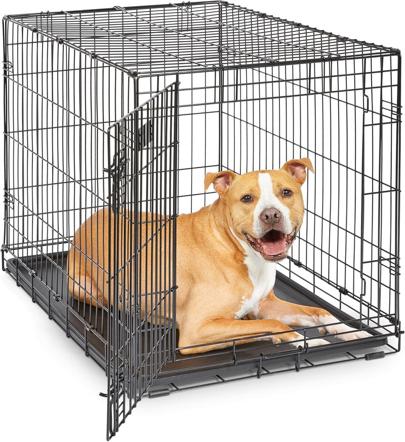 Midwest 36-Inch Single Door iCrate, for Medium-Large Breeds - Black - Single Door / Intermediate (36"L)