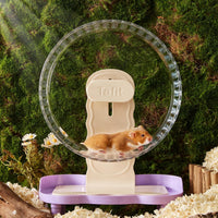 Super‑Silent Hamster Exercise Wheel - 10.2inch / Transparent - image 2