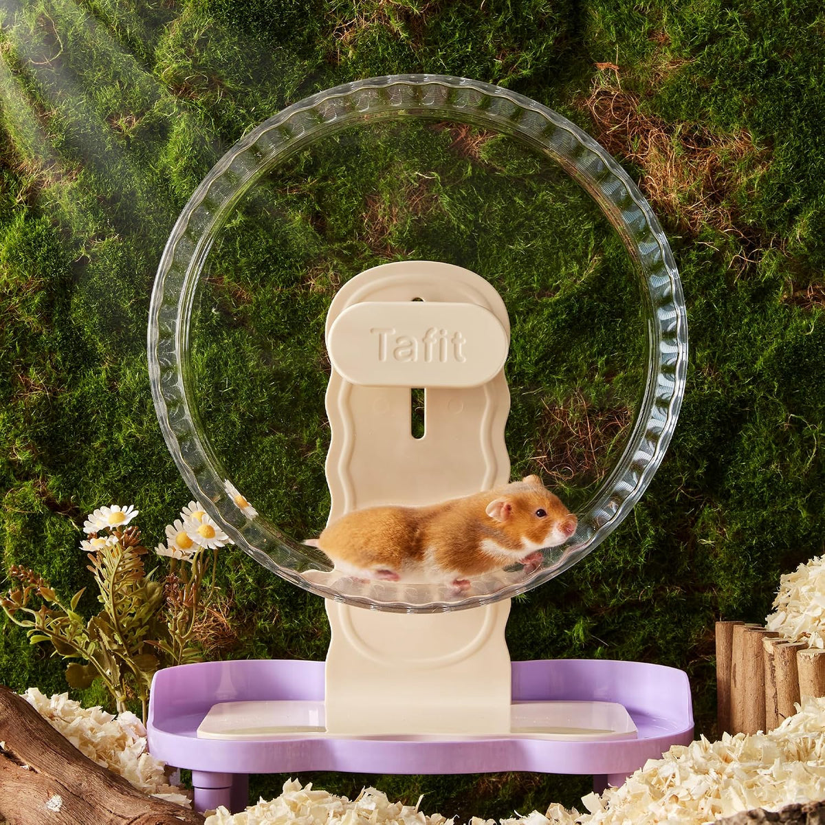 Super‑Silent Hamster Exercise Wheel - 10.2inch / Transparent - image 2