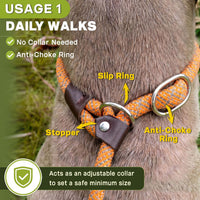 Fida Durable Slip Lead Dog Leash - Small (3/8" x 6 ft) / Orange - image 2