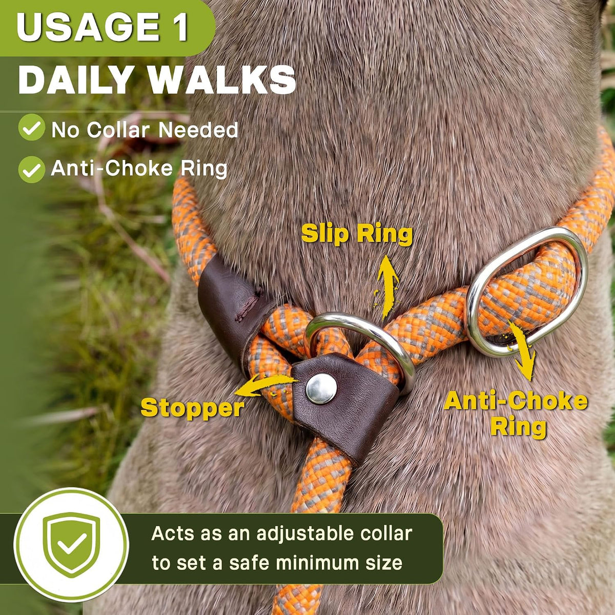 Fida Durable Slip Lead Dog Leash - Small (3/8" x 6 ft) / Orange - image 2