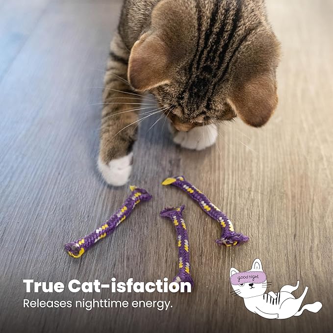 Catstages Nighttime Catnip Rolls Cat Toys - 3 Pack