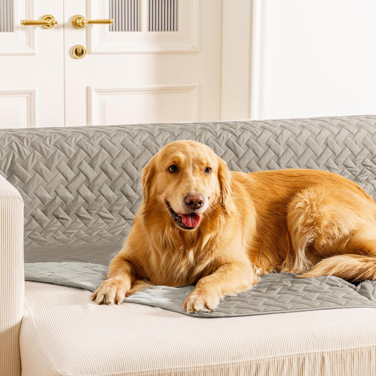 gogobunny 100% Double Sided Waterproof Dog Blanket Soft Pet Bed Cover - 40x50 Inch (Pack of 1) / Dark Stone/Light Stone