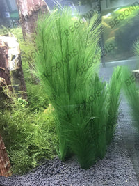 Aquarium Decorations 3Pcs Fish Tank Artificial Green Water Plants - 11", 3 Pcs, Green - image 2
