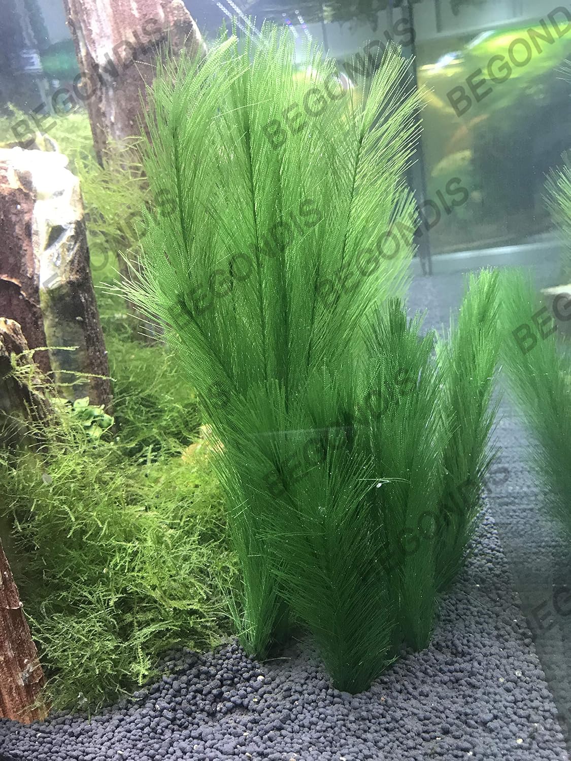 Aquarium Decorations 3Pcs Fish Tank Artificial Green Water Plants - 11", 3 Pcs, Green - image 2