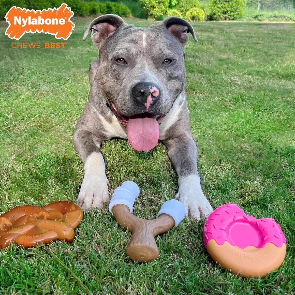 Nylabone Lobster Power Chew Toy for Dogs - Donut 3 Pack / Large - image 2