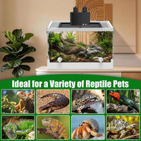 Folding Reptile Travel Terrarium Tank 17" × 12" × 10" – Essentials for Reptiles And Amphibians - 17" x 12" x 10" - image 4