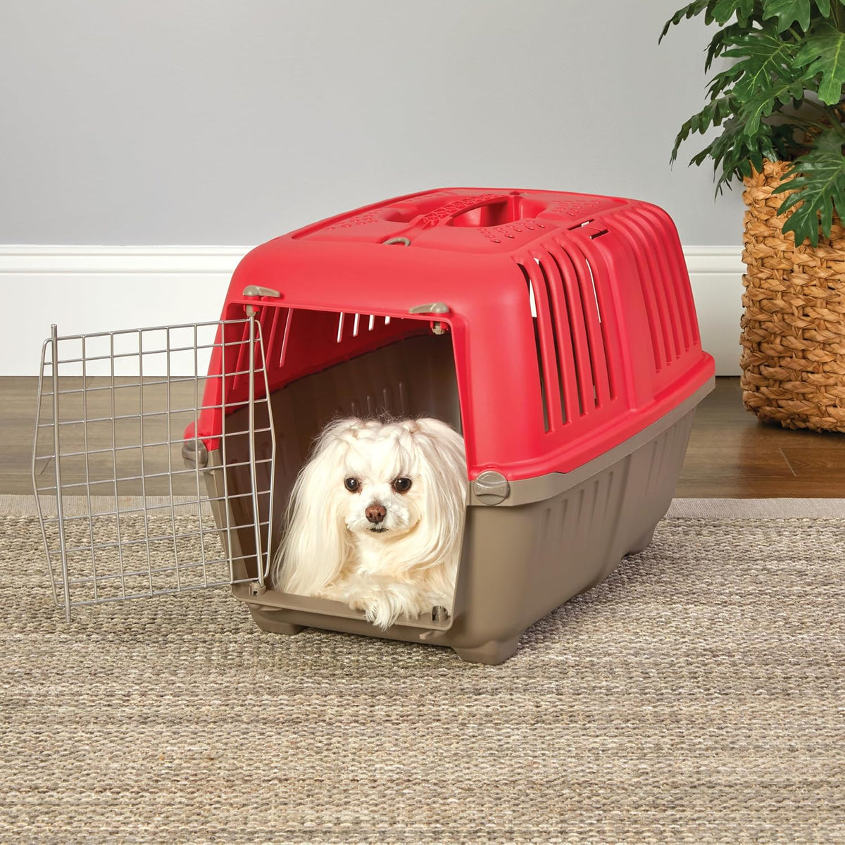 MidWest Spree Travel Carrier, Small Pet Crate - Red / 24 Inch - image 2