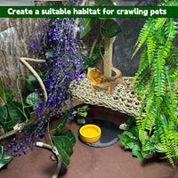 8PCS Bearded Dragon Hammock, Reptile Plants & Vines - image 3