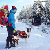 Dog Winter Coat for Cold Weather - Red / XX-Large - image 2