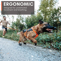 Non-stop Dogwear Freemotion 5.0 Dog Pulling Harness, Blue/Gray - 4 / Orange / Black - image 4