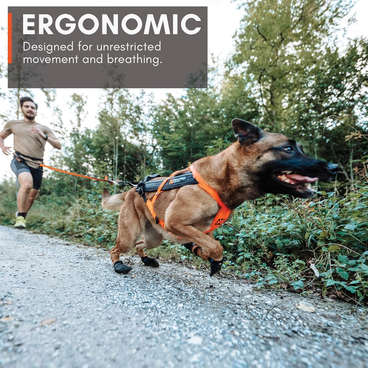Non-stop Dogwear Freemotion 5.0 Dog Pulling Harness, Blue/Gray - 4 / Orange / Black - image 4