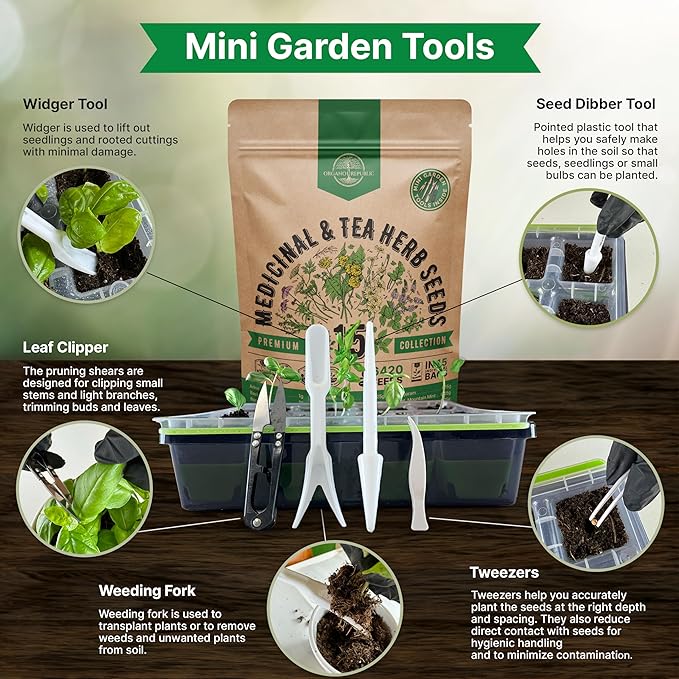 Organo Republic 15 Medicinal & Tea Herb Seeds Variety Pack 6,420+ Non-GMO Heirloom Garden Seeds for Indoor & Outdoors, Including Anise, Borage, Cilantro, Chamomile, Dandelion, Rosemary Seeds