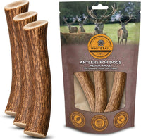 WhiteTail Naturals 12 Pack Whole Deer Antlers for Petite Dogs Up - Medium (Pack of 3)